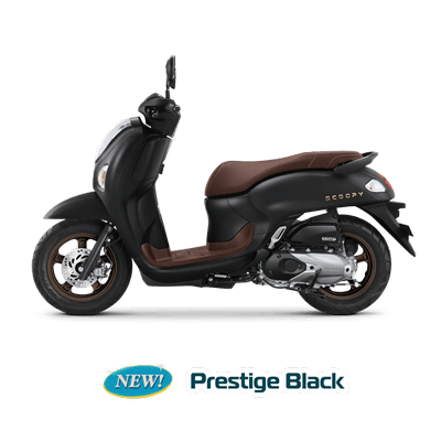 Scoopy Prestige Black