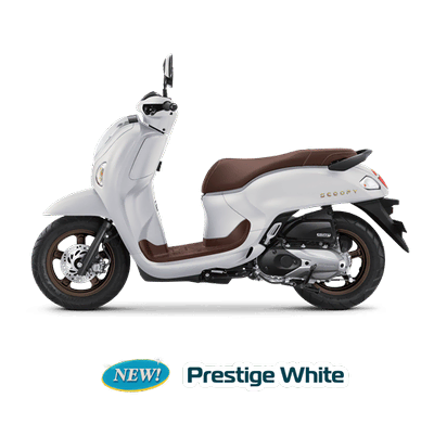 Scoopy Prestige White